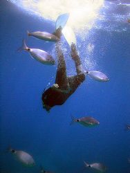 Rob Nixon free diving with the bream at Comino Caves, hav... by Dawn Watson 